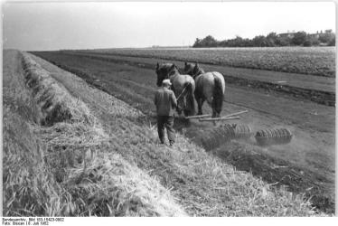 Horse-drawn roller.  (Photo source: Wikemedia Commons, German Federal Archives)