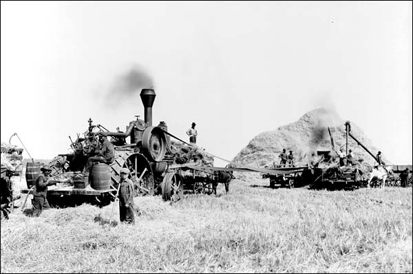 threshing_01