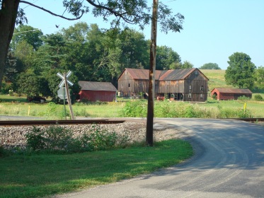 Recent photo of the road  Ruth and Tweet would have walked down as they approached the Muffly farm.