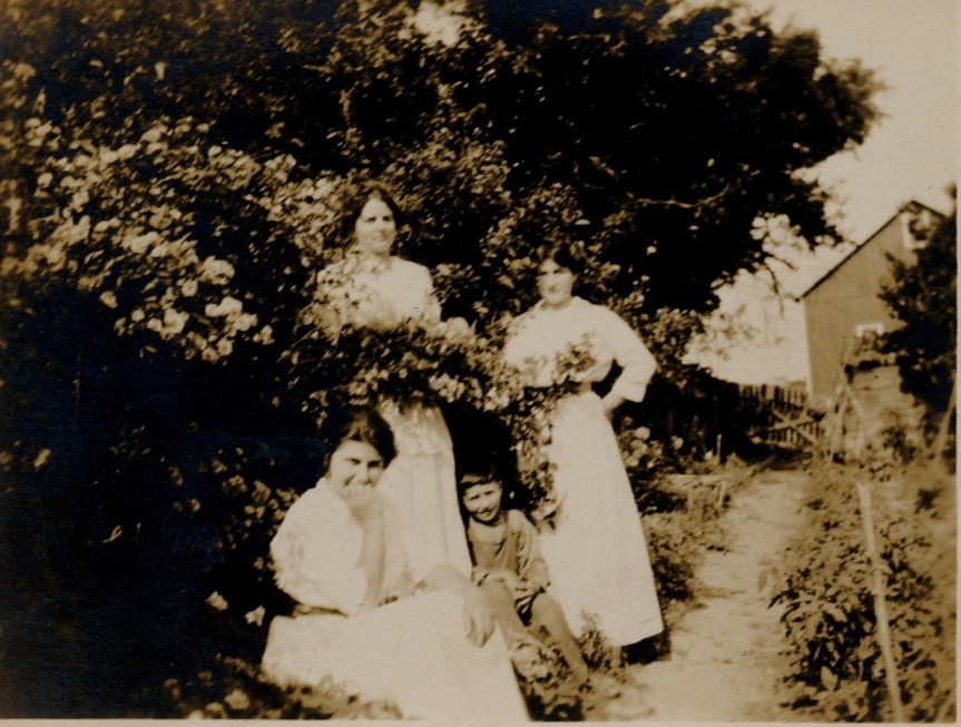Left to right: Helena (seated), Besse, Jimmie, Ruth (circa 1912)