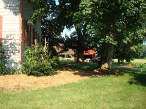 Recent picture of the house and yard where Grandma lived when she wrote the diary.