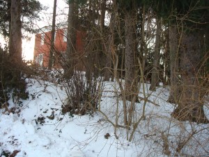 McEwensville School (in the background)
