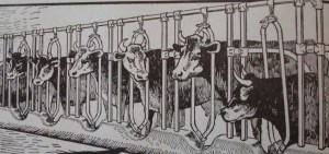 Source: Kimball's Dairy Farmer Magazine (April 1, 1913)