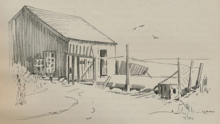 Pencil.drawings.fig.4