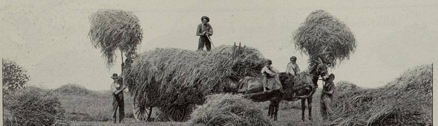 Photo Source: Ladies Home Journal (July, 1913)