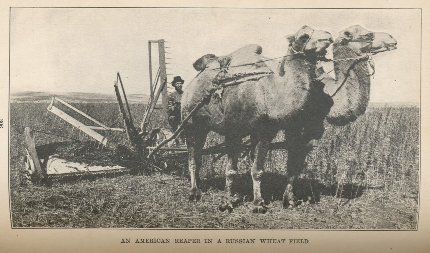 Photo Caption: An American Reaper in a Russian Wheat Field (Source: The Book of Wheat by Peter Tracy Donglinger