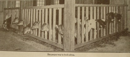 Source: Kimball's Dairy Farmer Magazine (February 1, 1913)