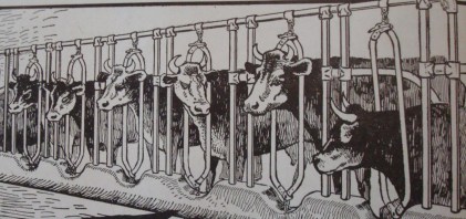 Source: Kimball's Dairy Farmer Magazine (April 1, 1913)