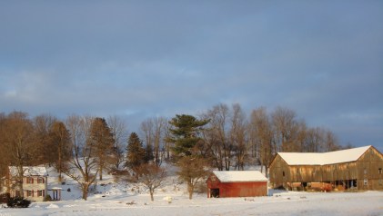 snow and barn