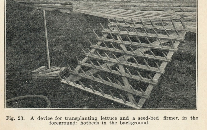 Source: Vegetable Gardening (1914)