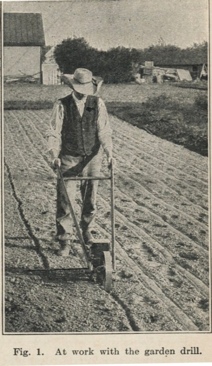 Source: Vegetable Gardening (1914)