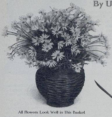 Source: Ladies Home Journal (June, 1914)