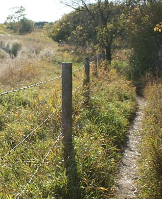 Source: Wikimedia Commons