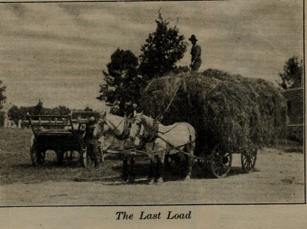Photo source: Farm Journal (July, 1914)
