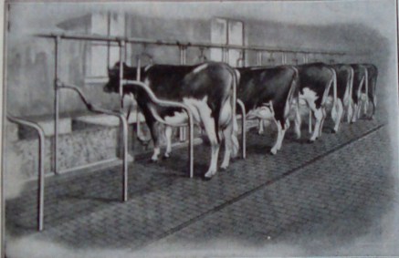 Kimball's Dairy Farmer Magazine (March 1, 1914)
