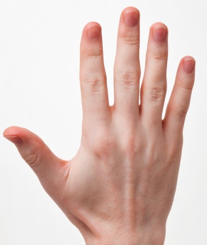 Source: Wikimedia Commons