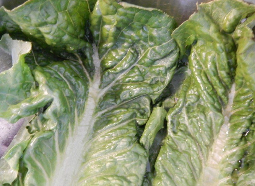 lettuce leaves