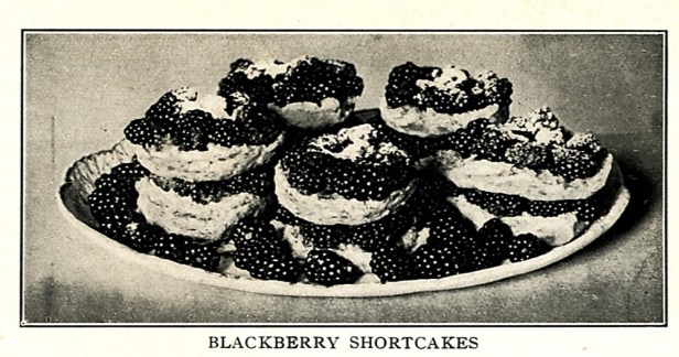 Source: American Cookery (Boston Cooking School Magazine), Aug./Sept., 1915