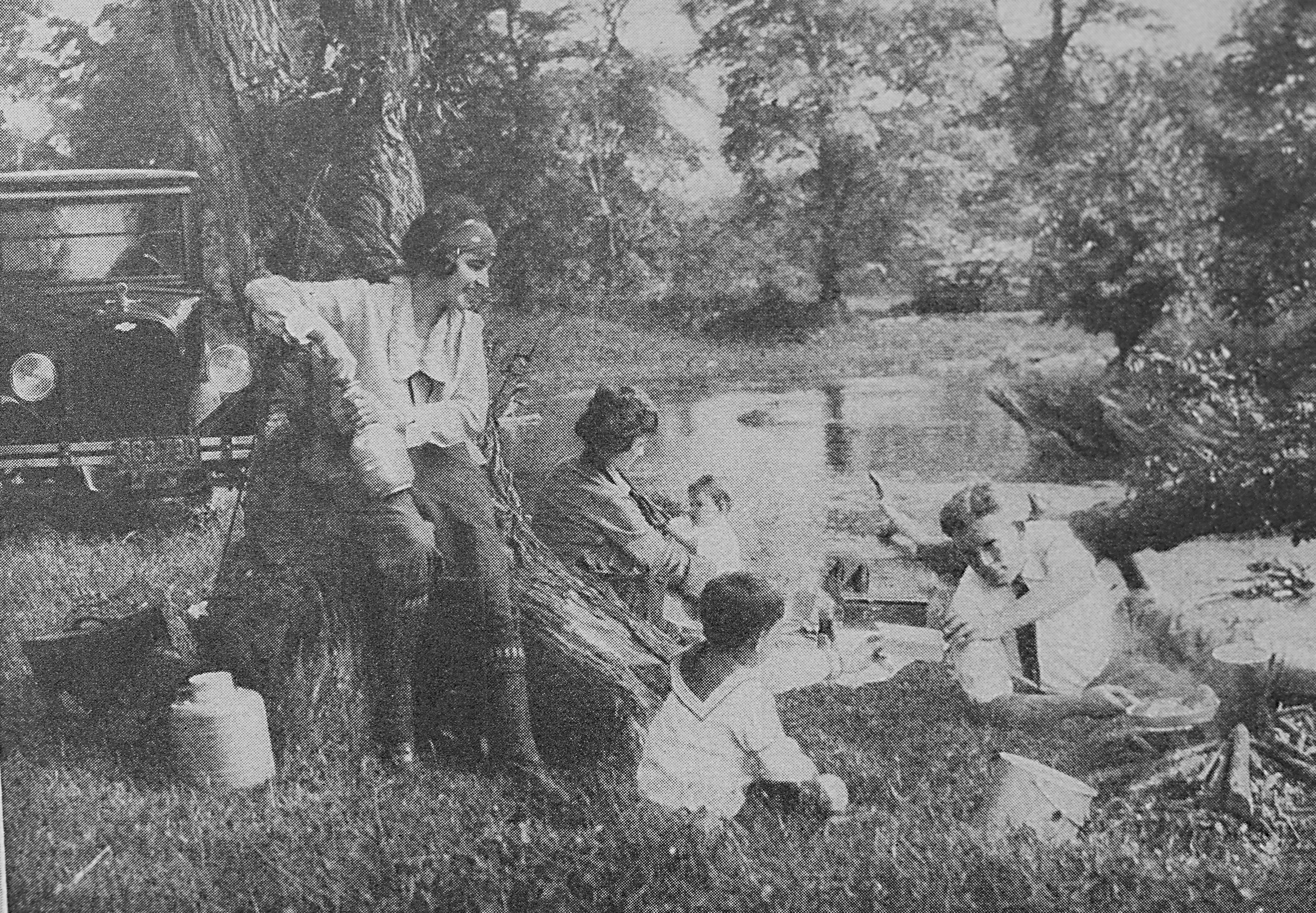 Family having a picnic
