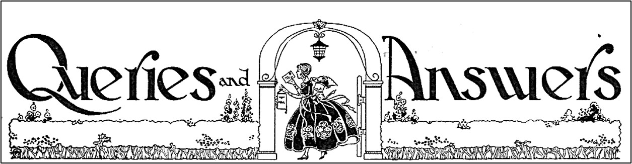 Decorative Q&A header