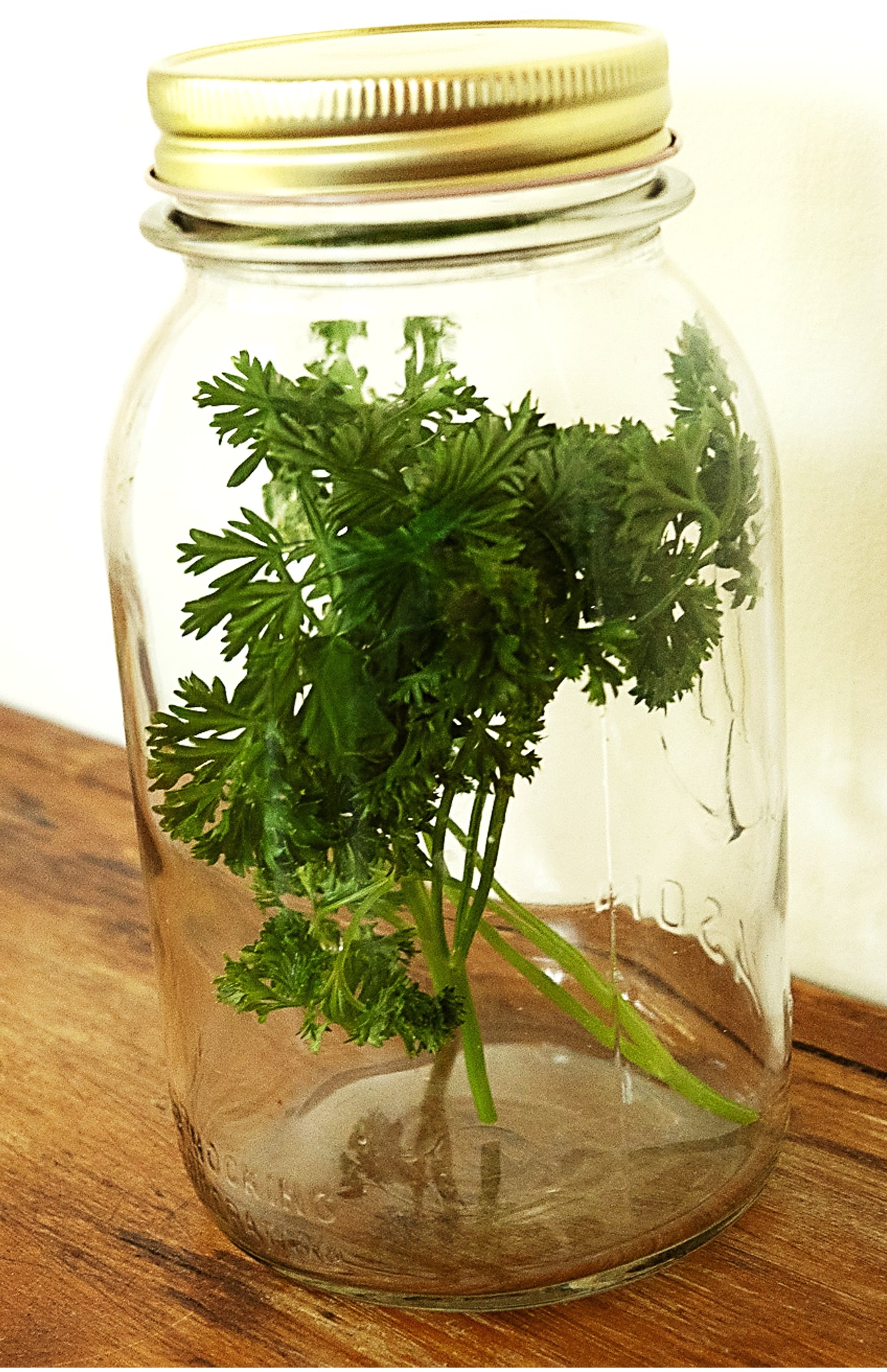 Parsley in jar