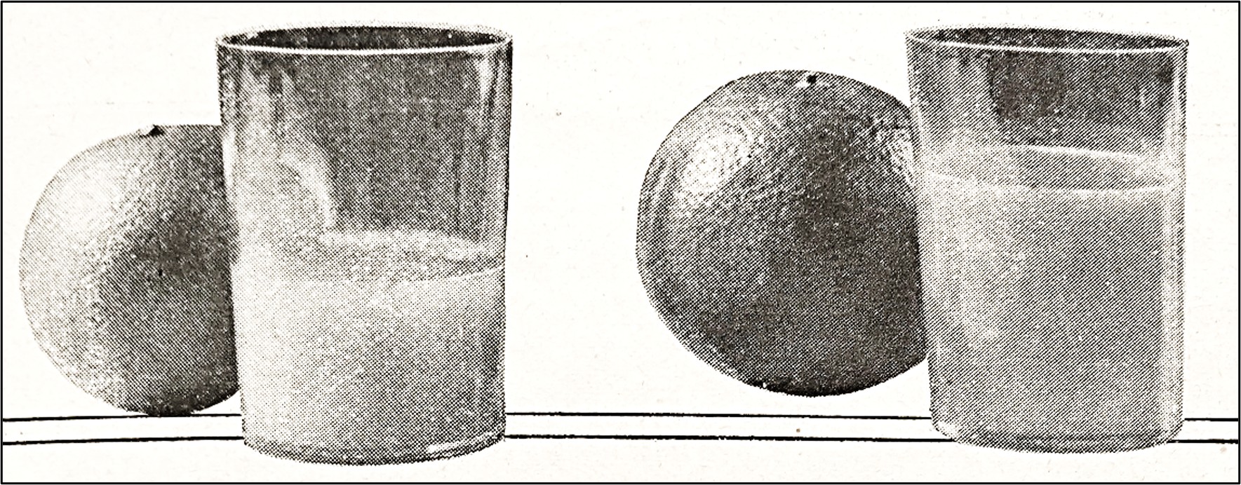 2 oranges and 2 glasses orange juice